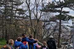 IMG-20250312-WA0003