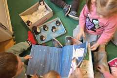 WhatsApp-Image-2026-03-05-at-16.17.28-5