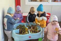 WhatsApp-Image-2026-03-05-at-16.17.28