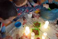 IMG-20251216-WA0002