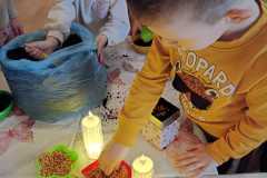 IMG-20251216-WA0003