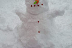 IMG-c909c7def0be443d7234f04e4a9eb1e4-V