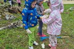 IMG-20250326-WA0003