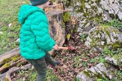 IMG-20250326-WA0005