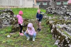 IMG-20250326-WA0006