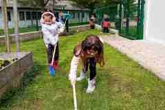 IMG-2d59a30f96a84c1d99897986316c2da4-V