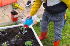 IMG-88a17385ea925ff5debd587ce5761f5d-V