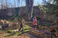 IMG-8e37710de9d6754ca51f01014d82912f-V