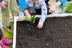 IMG-ad61242b312b655f3731c41e5d33cfec-V