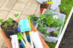 IMG-ff3ebe33bbb2eba730f6470f2ccd2145-V