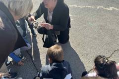 IMG-d3dd253c63c614fe6d726a8946c6f484-V