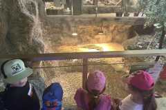 IMG-3a06826bcd7755ab86c7fc115a191f4f-V