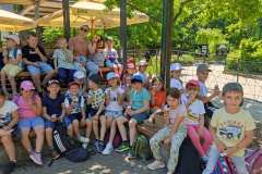 IMG-67e3f572e445c4f87c89dd9fc9d4ca02-V