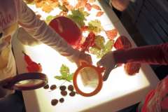 0c57b65e-e6be-41ad-8d30-542cdaa1d667