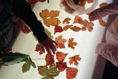 a9918f0e-09b7-42b1-bc26-e72c1885ee87