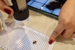 6e8f24ef-5a35-4ca5-8f35-0155cc77d336