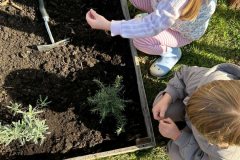 738ed36b-1f2b-4ada-8cbe-f05f1b362f12