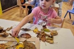 403411489_1042503076866020_4795994066661469428_n