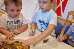 406435582_979852706805845_4020613016922691618_n