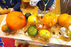 407132162_733747265328803_8599028292592863959_n