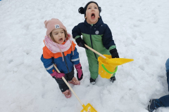 IMG-ab9dcff182f75bd3d9b3335426d4a580-V