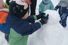 IMG-c1e54768bfeadebff167df4b719b49e4-V