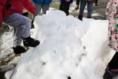 IMG_20211217_105853